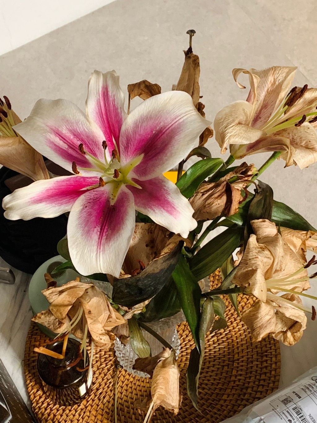 I am a hot&nbsp;woman!